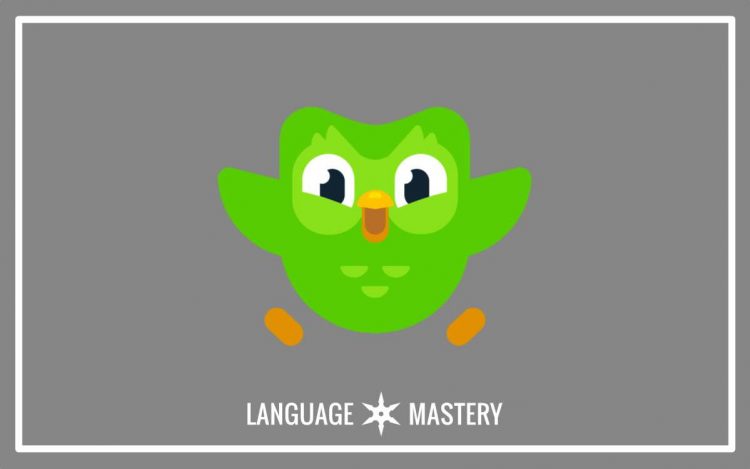 Duolingo language lessons