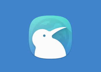 Kiwi Browser Fast & Quiet
