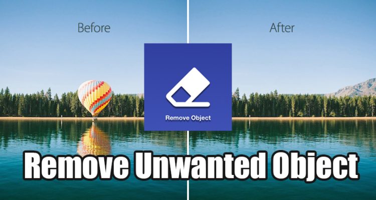 Remove Unwanted Object