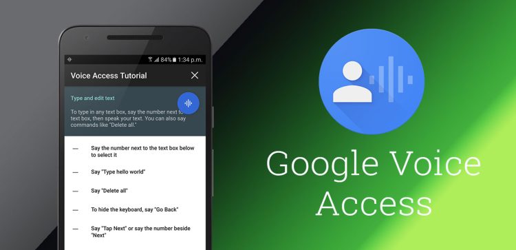 Voice Access