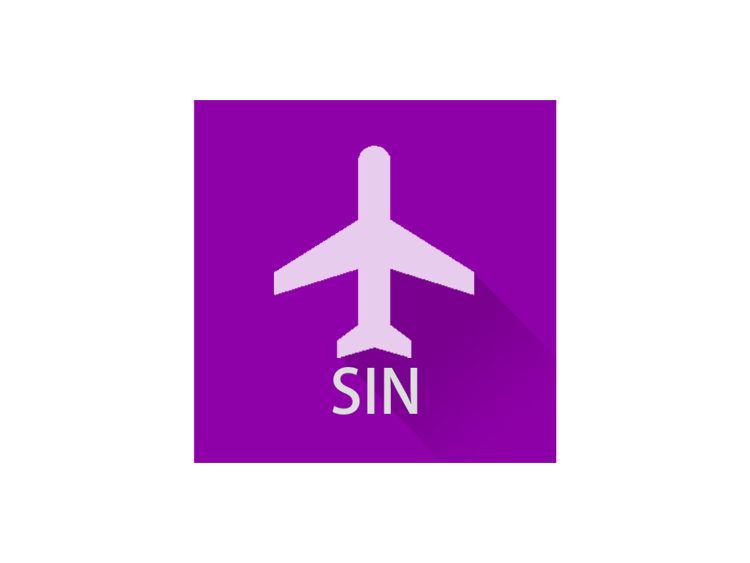 Singapore Flight Info