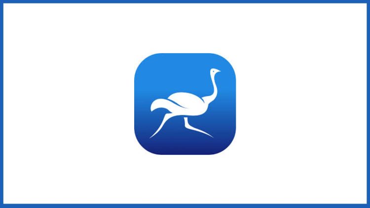 Orstrich VPN